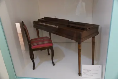 DSC_6231 (Large).JPG